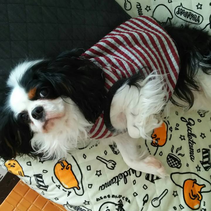 4e16c2b9 f6fa 4c0f 9101 c180d303d6c4