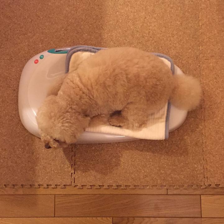 4e1795f9 33a2 4a6a b992 dfb918825bb8