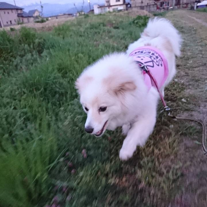 4e17ccd8 14d7 4084 b9a1 add46b5a85b6