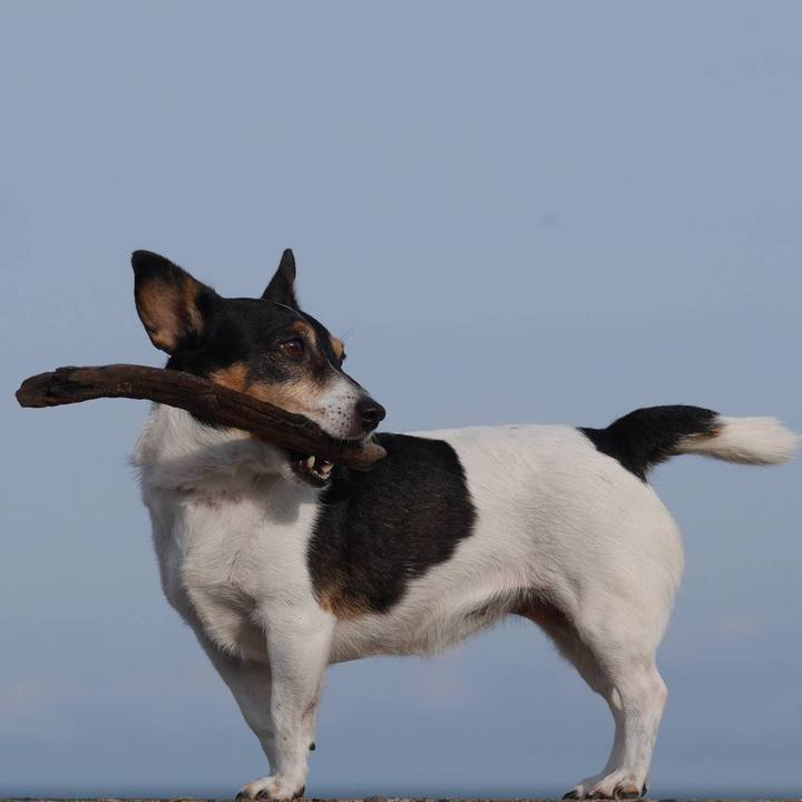 4e17e19e 119b 4917 ad06 6f9d6c1b9d43