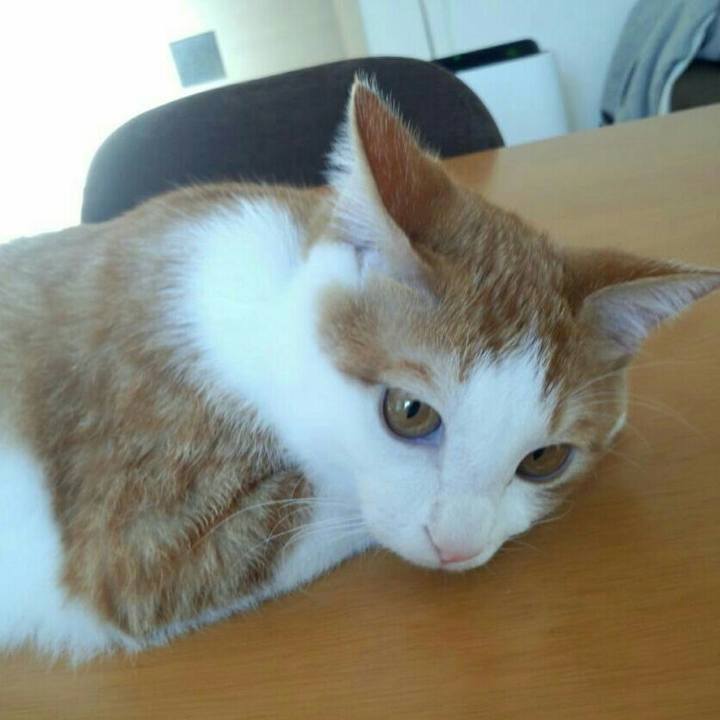 4e183fc1 d843 4e3f a3cf 5f58bb8975c9