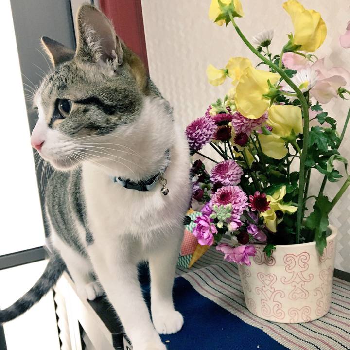 4e187261 23a4 42ce a937 eccd88447332