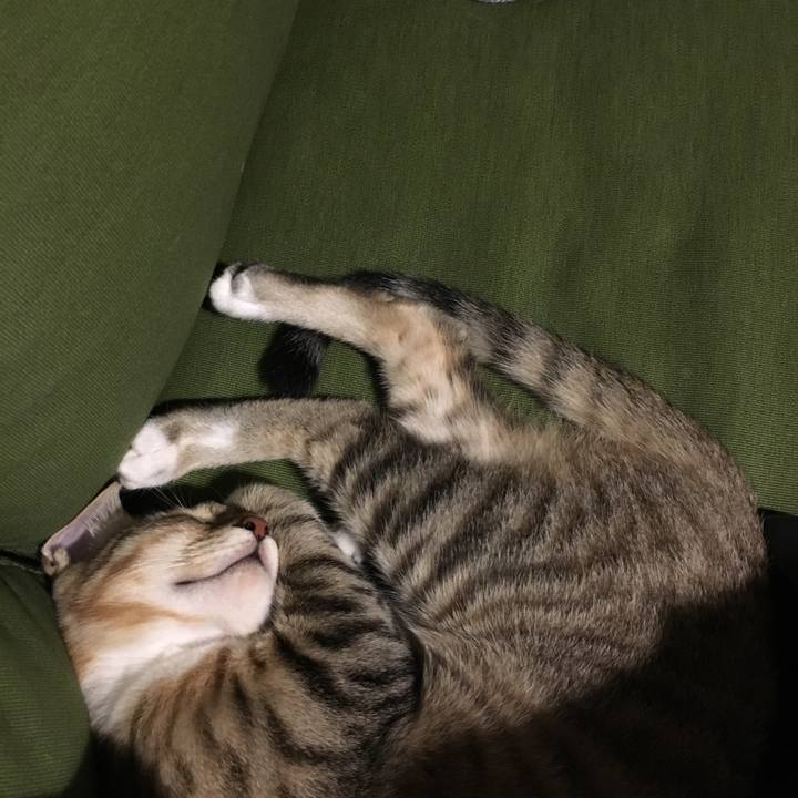 4e19018b 14ce 4805 bff3 d80900245aa1