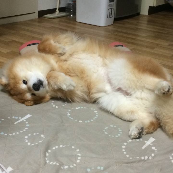 4e1905bb 28e1 4897 8aee bf37ce6a1b06