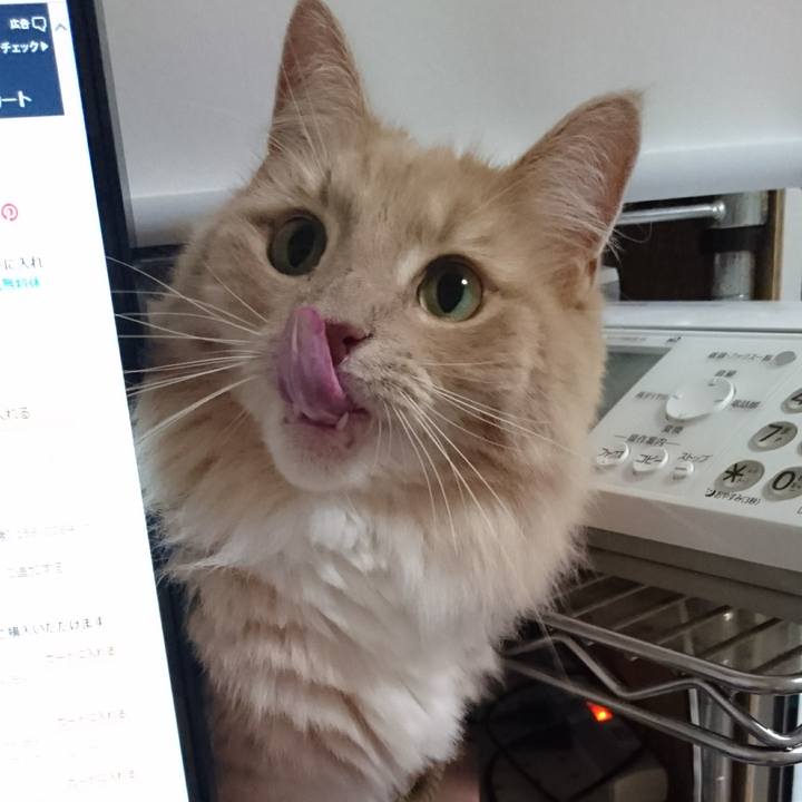 4e1a5520 8241 40dc b7f2 1729a9af9183