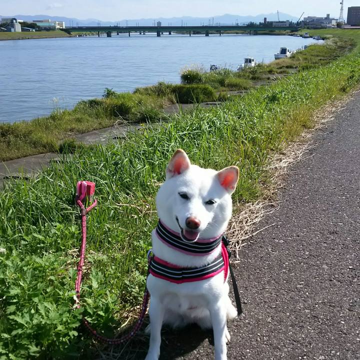 4e1ab624 a9a5 4788 a7b7 56fd6e70d5d6