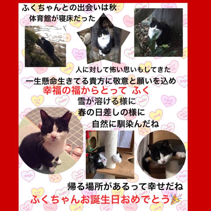 4e1ac23e 9418 4c8b 9430 ce59bc8a3ea3