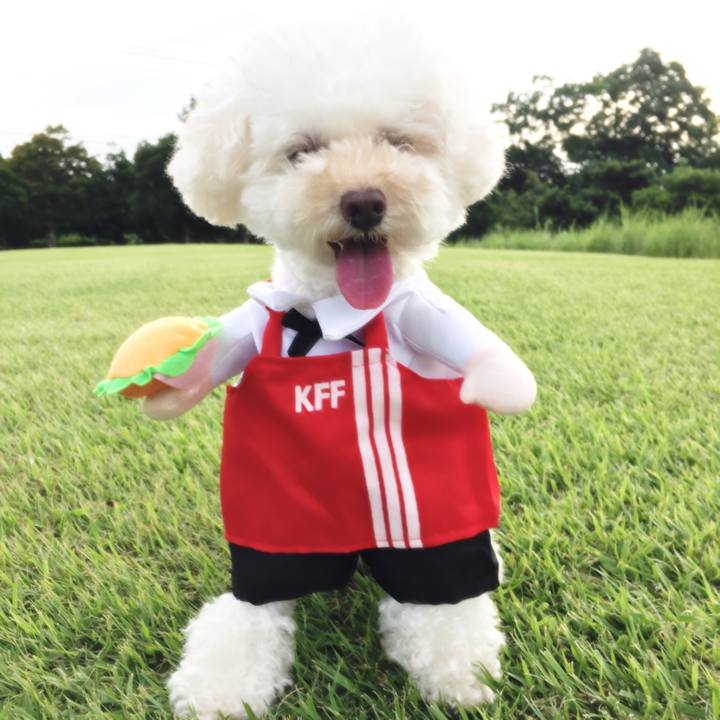 4e1b2aa3 abb5 4194 b997 df555d19086b