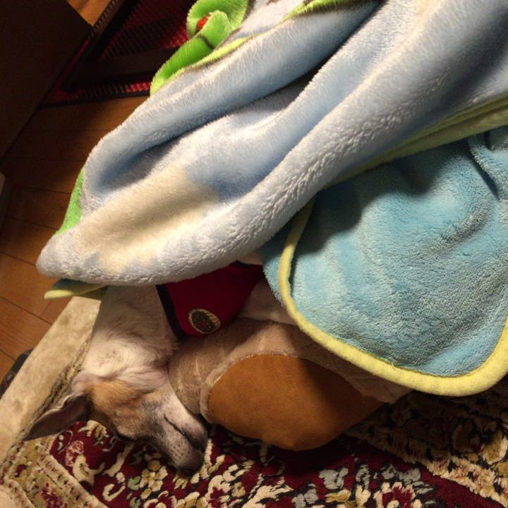 4e1b2e3f 9f67 418a 8e41 20b135ae5083