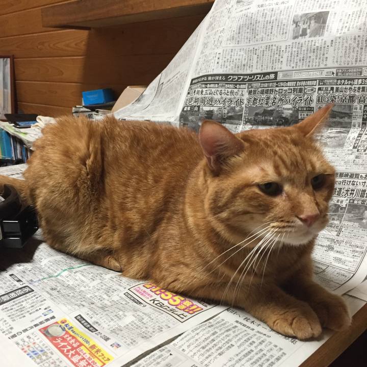 4e1b6f45 ae6a 479e a3d1 e3c78807153c