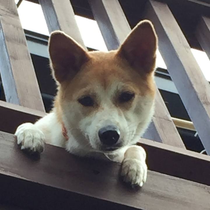 4e1c43f7 a5f9 4307 82c9 2fadf77cdc4a