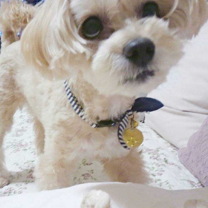 4e1c4c7a 5fba 468b b219 9d22f3dbc4b9