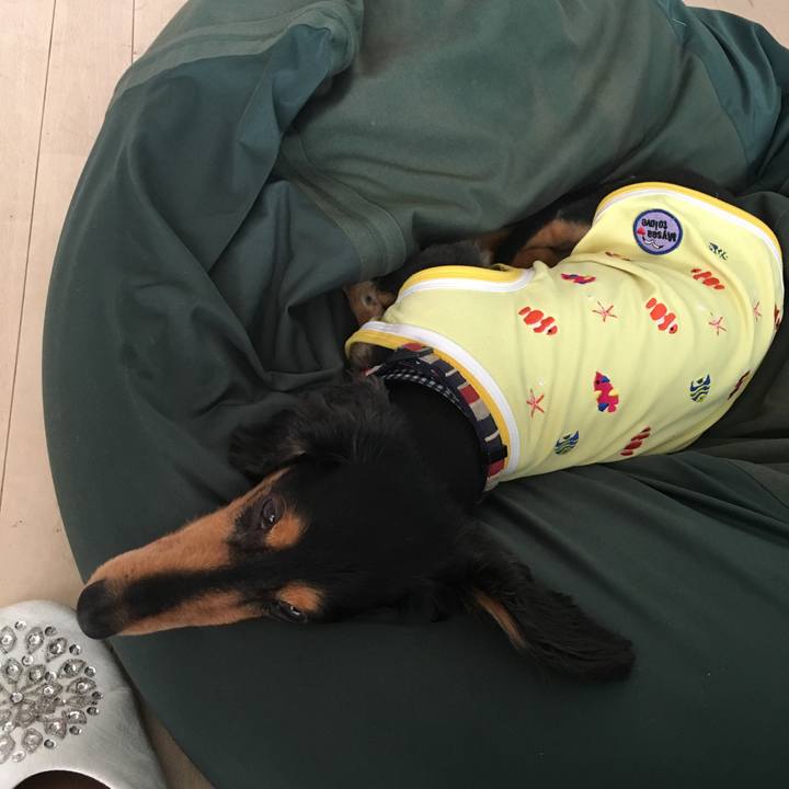 4e1cec57 c424 4b16 b6e8 8592a65873a7