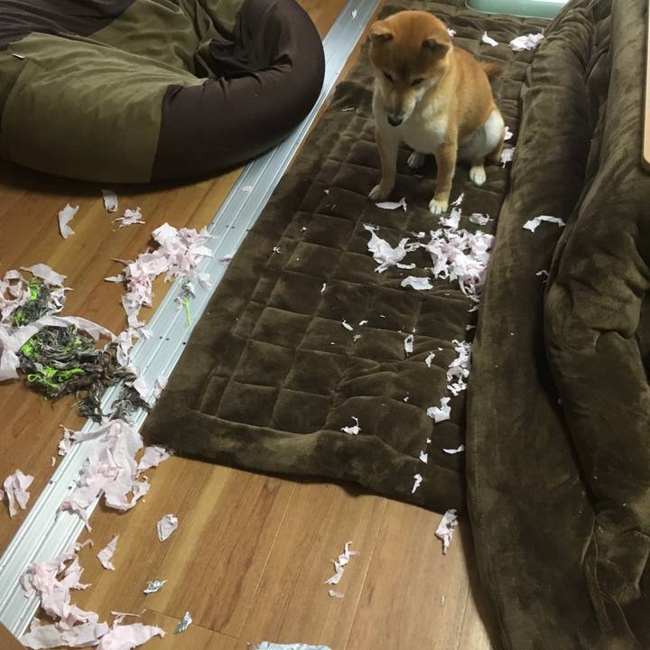 4e1d4839 54ad 42d7 af81 a453adc752fa