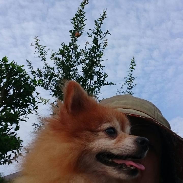 4e1d67d6 20b0 4928 a38e 82ec40f10b0f