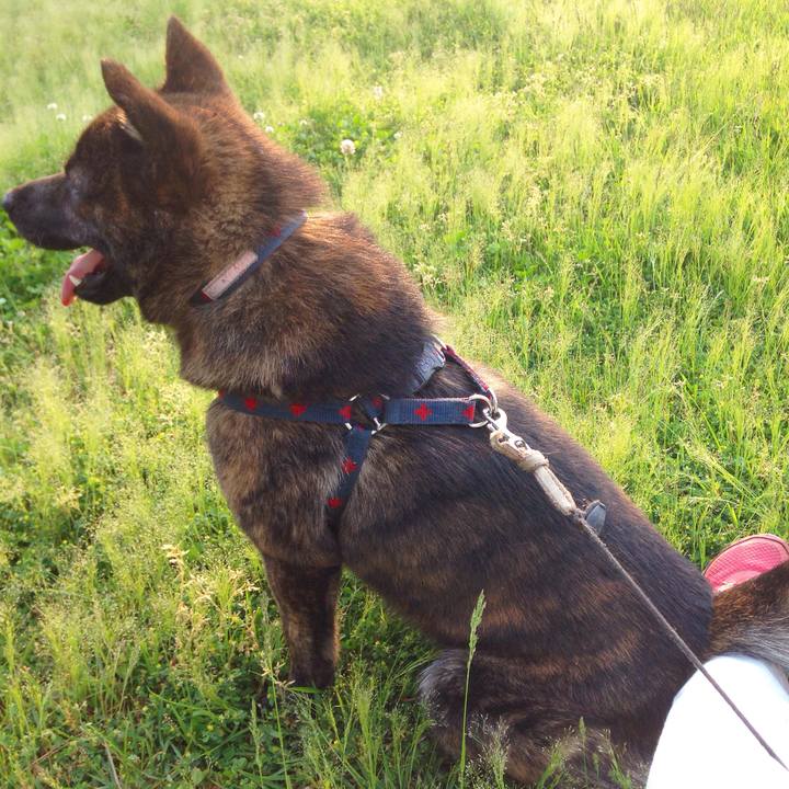 4e1dba92 9582 48c1 8fc6 42215f489d78