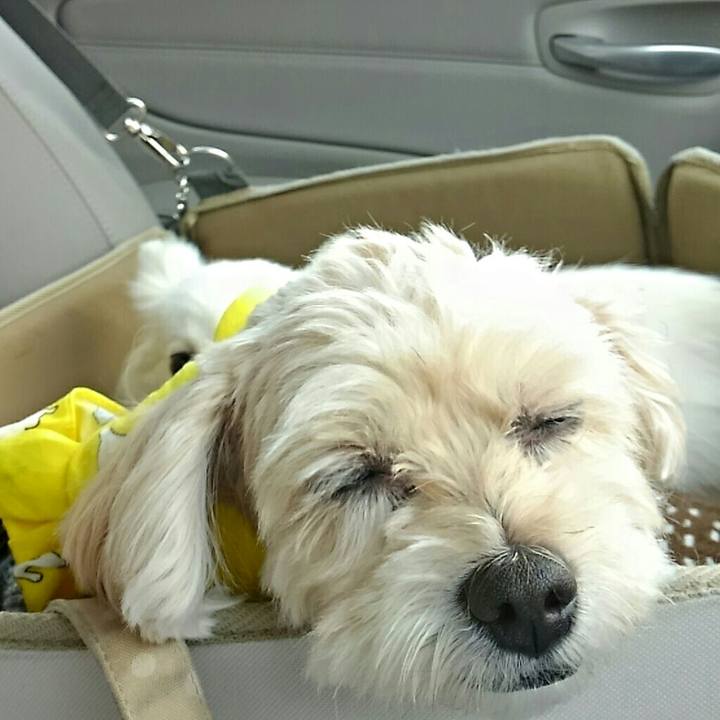 4e1e9764 b2a9 44d9 9880 10180c0ed09f