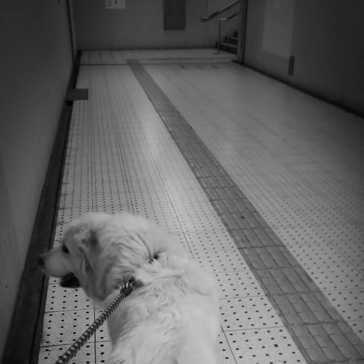 4e1ec506 fa0e 4c37 b9e3 649d505767ec