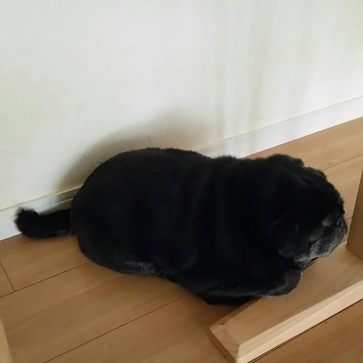 4e1ec8f4 fc67 4415 a927 f03440bcc4a5