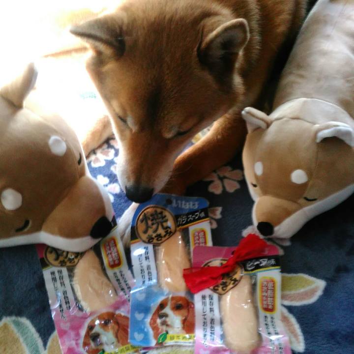 4e1fecdb f2da 4186 a47d b6eb46a24b14