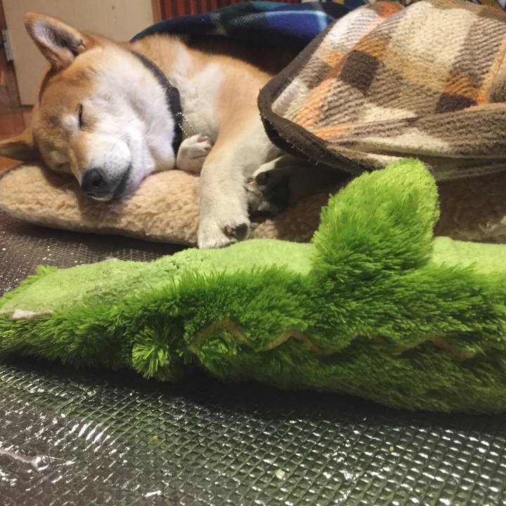 4e1ff112 2673 425a 9095 9f6b557afb3c