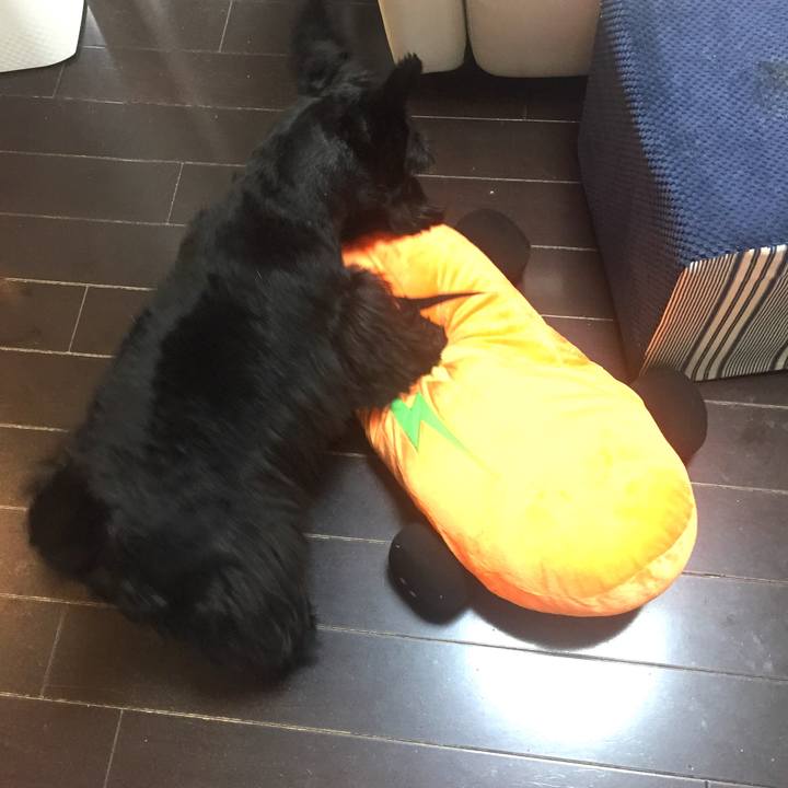 4e1ffd2f b6c3 4981 b595 bcecf488ad47