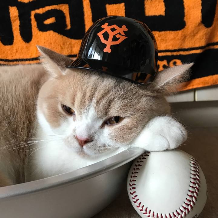 4e2053d2 a446 48dd b20c b52a0fbf606b