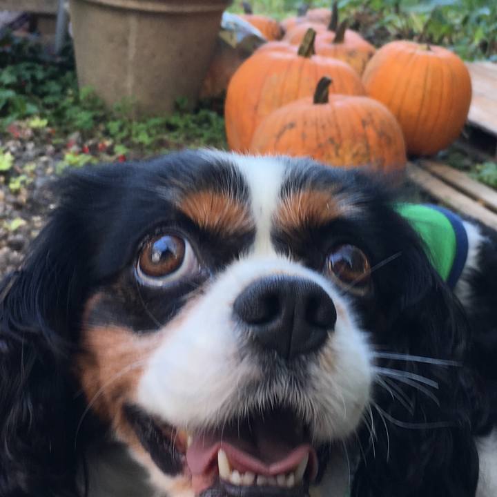 4e20dc6f 8461 4a6e b3f2 4ee6fc3d22c9