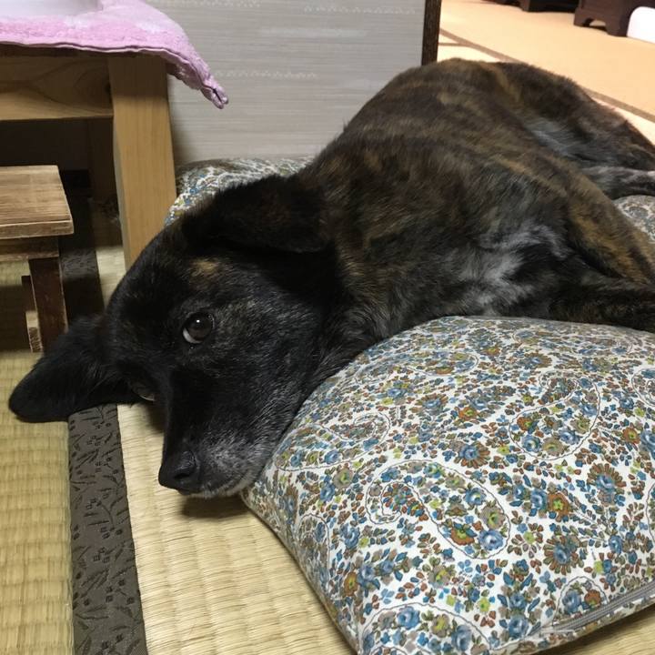 4e213016 dd35 444a 84c6 6413324460c4