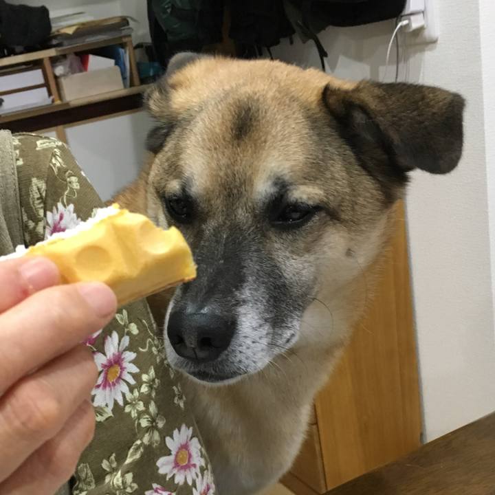 4e214ff0 5bb5 4e94 9dfb 60448ac7fab3