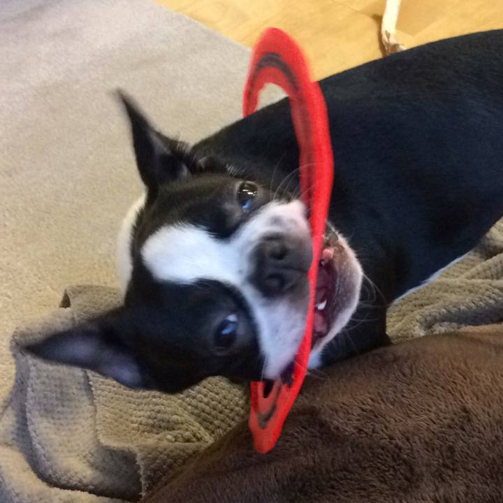 4e217016 030e 4632 8f8a 224e3f8af3e1