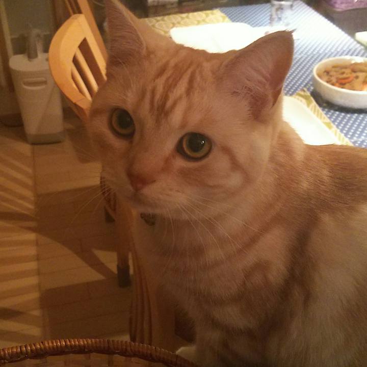 4e219402 b7a6 40bf 8eb8 8278f71c92e6