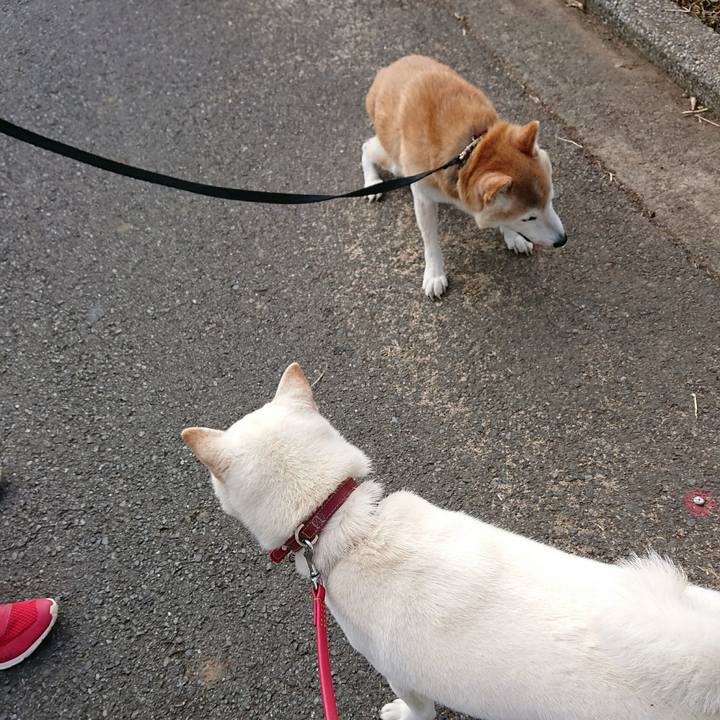 4e21bb23 7a2d 454b a93f 6de54e39f022