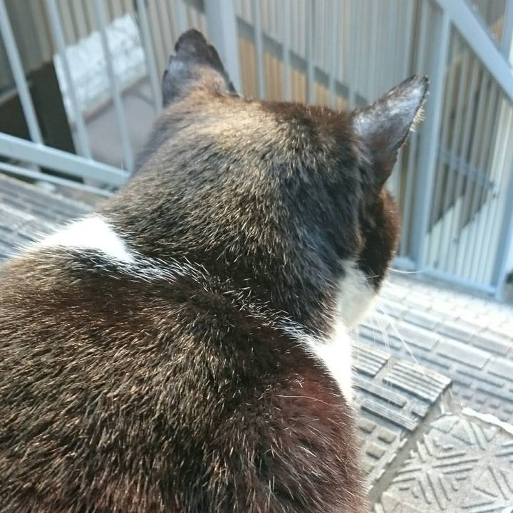 4e22138e 0bc3 49dc b0fa 9f65ce166020