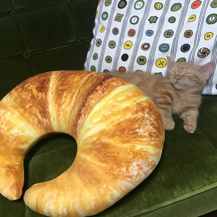 4e226d23 5f2c 4d70 a66a 6f8a6b0c6051