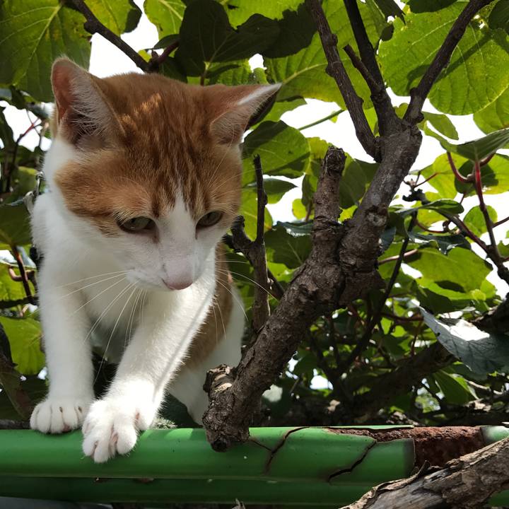 4e2277c9 8363 4dda 8e89 ecfb99dd1fa4