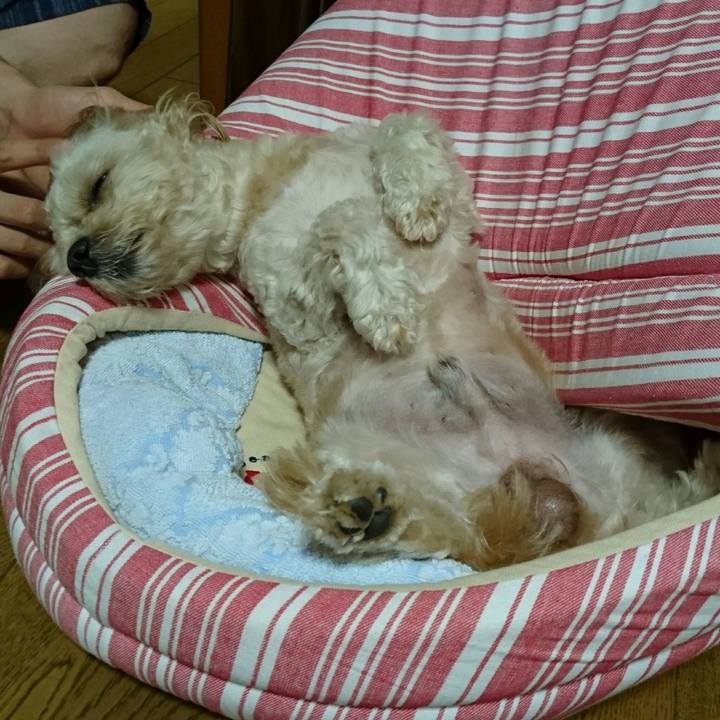 4e239bf6 fce7 4ec0 a649 58faa1c323a1