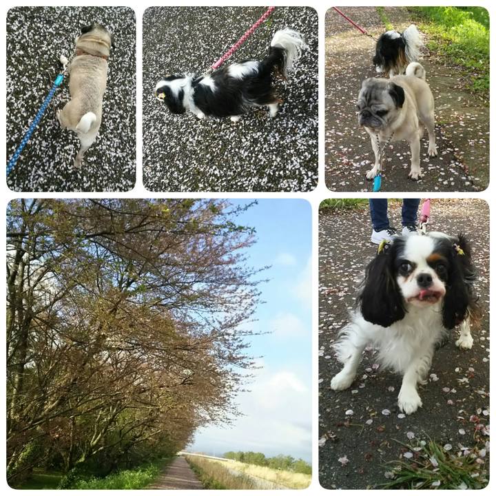 4e23b313 bc4c 43a0 817e 3cf40d1904fd