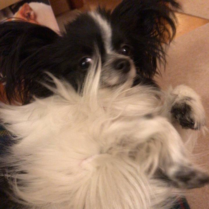 4e24cb99 ed16 40e8 a3a2 ef48474ccd0f