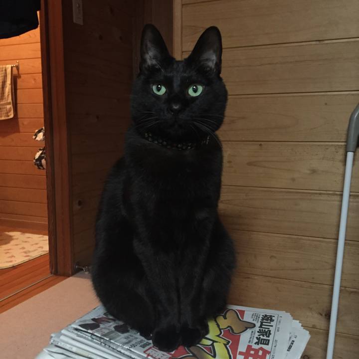 4e25b1ea bdd6 4c7a ad96 13c27b10c016