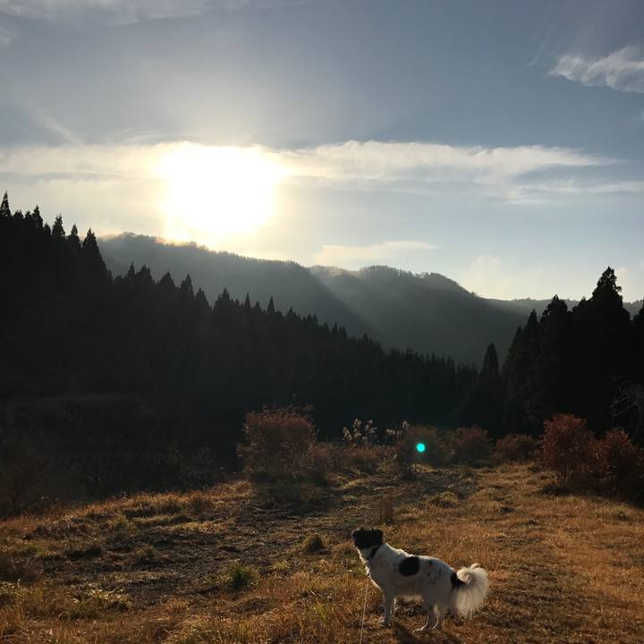 4e25cec5 f9d5 4ce2 bf44 6314dde0e5c1