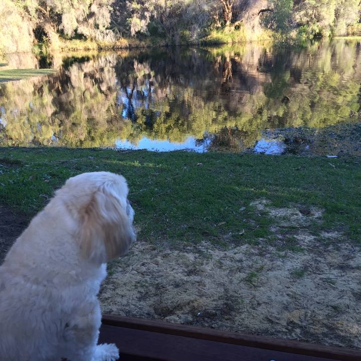 4e268535 3162 415f b7ec 7081f4132c8b