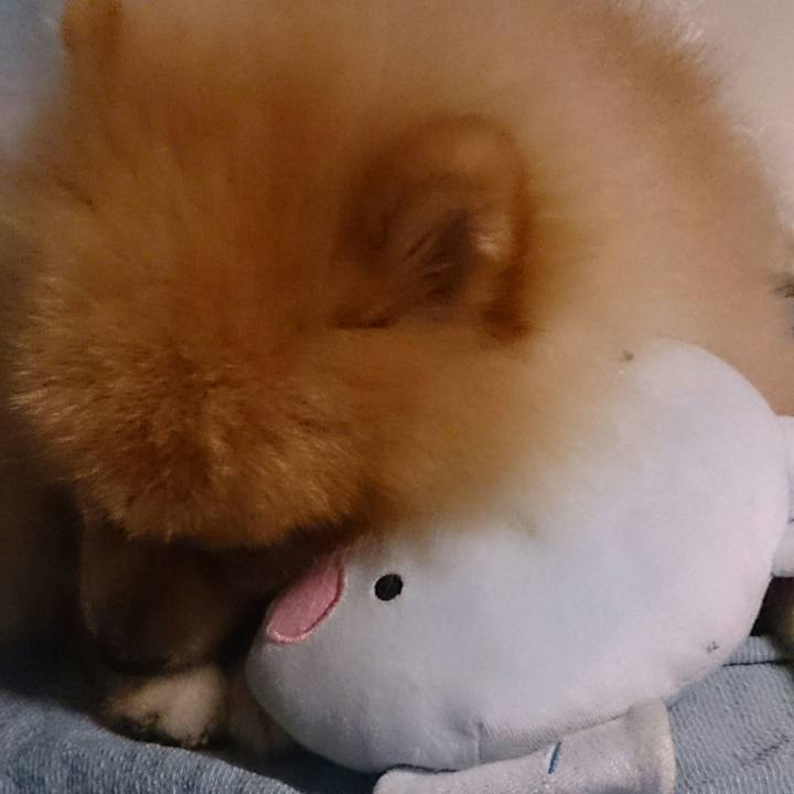 4e26998d 92ea 4acd a3fc 7c0ebe8be17b