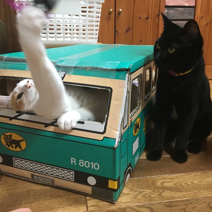 4e26c3ee b1c1 4c5c acac 20d8f2cb2b53