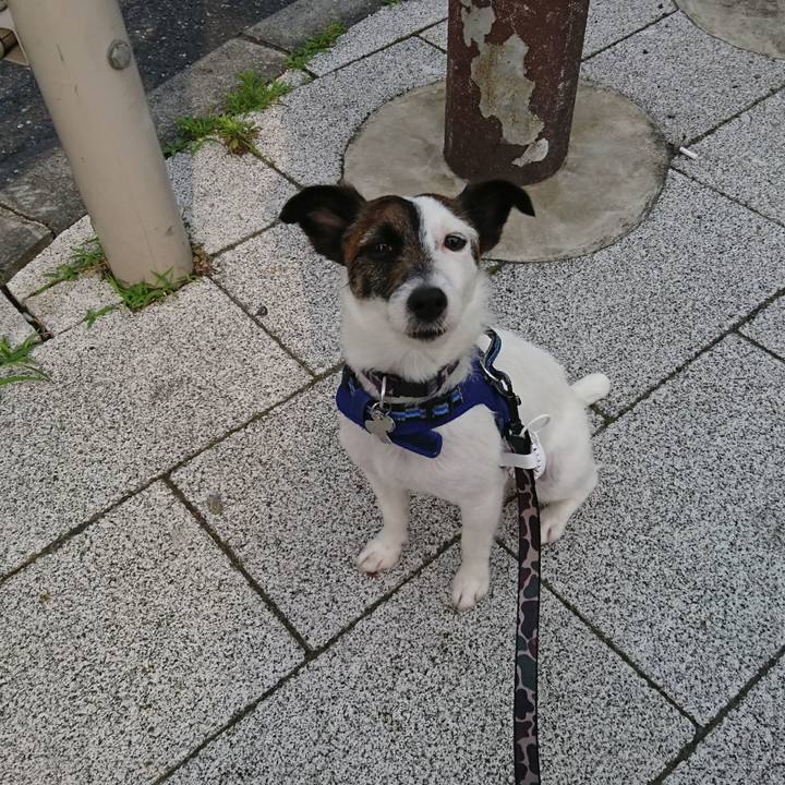 4e271b41 9274 4939 98fb 8bf43389b2c5