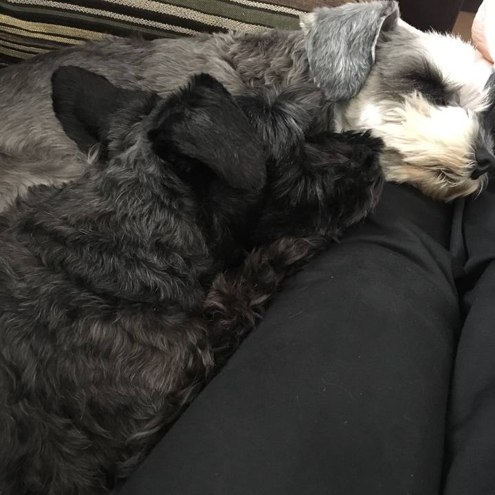 4e28a392 af05 47dc 93d6 e5bbed5c512a