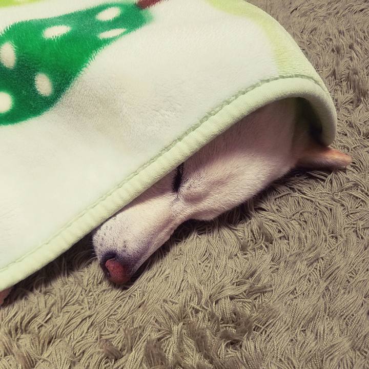 4e28c3d7 f75e 471d 9bee a0e769c31c71