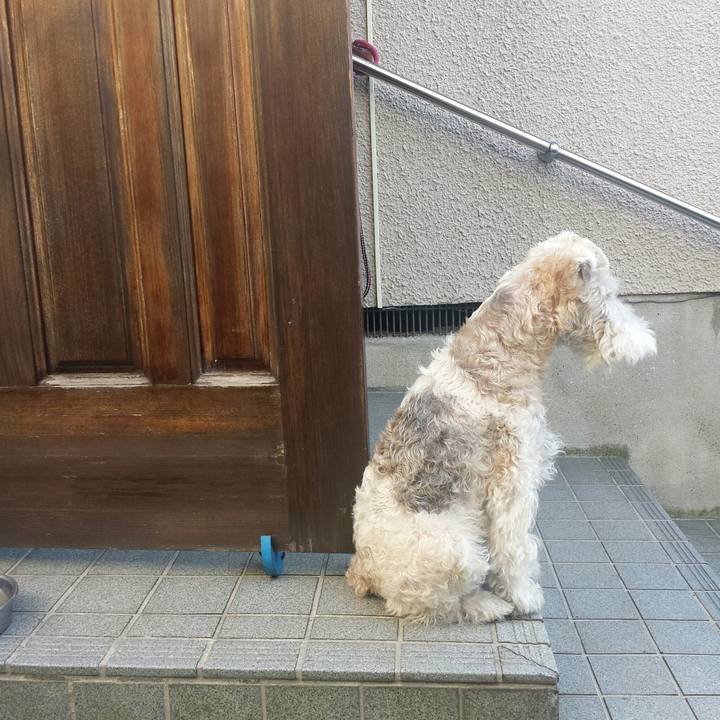 4e294a91 df7a 4015 a99f e7e58f2f43be