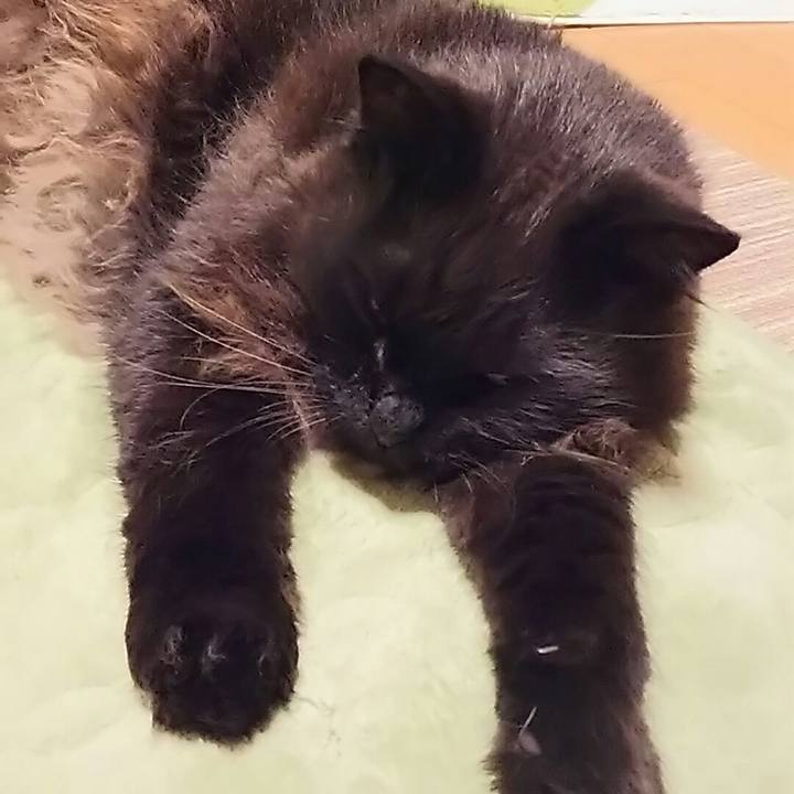 4e2a10ac 57dd 4030 8e41 1033d2018862