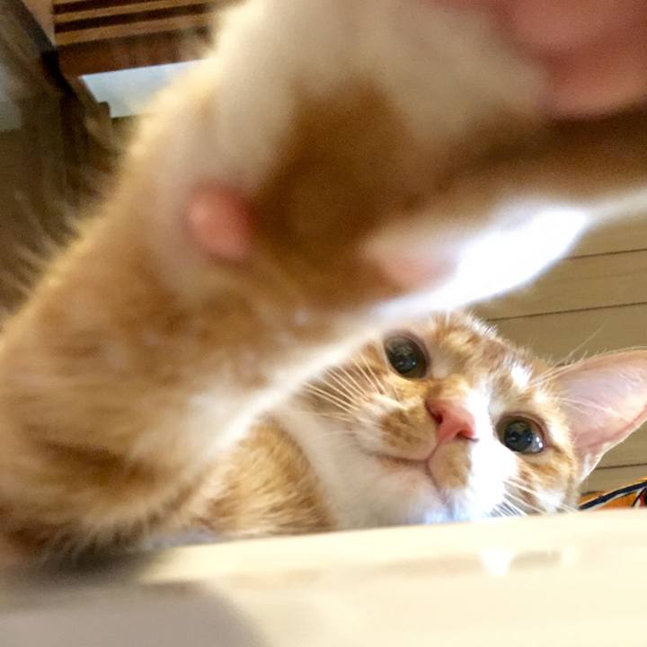 4e2adf5b e5f1 4efc a892 1b4b37704037